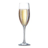  Champagne Glasses