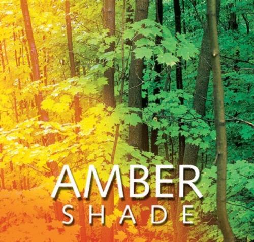 Airoma Micro Refill  - Amber Shade