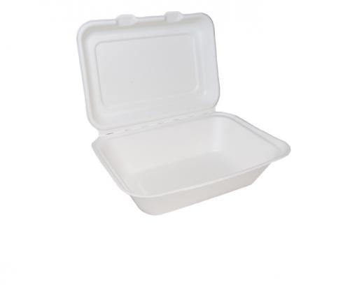 Bagasse Clamshell Regular 7x5''         29953