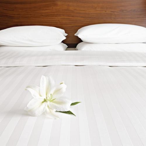 Comfort Satin/H Flat Sht Oatmeal - Single 180x275cm