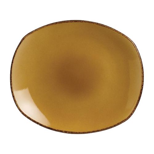 Steelite Terramesa Mustard Spice Plate - 25.5cm 10" (Box 24) (B2B)