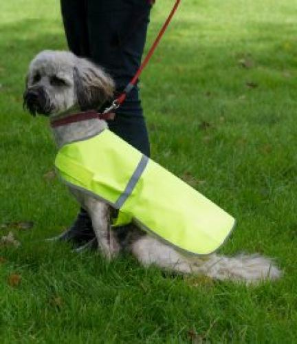 RTY Enhanced Visibility Reflective Dog Vest