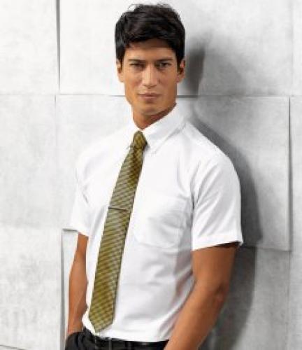Premier Signature Short Sleeve Oxford Shirt