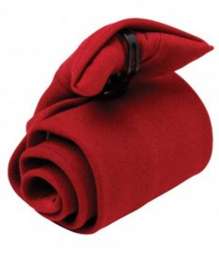 Premier Clip on Tie