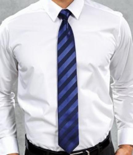 Premier Sports Stripe Tie